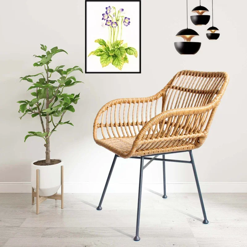 Nordic Dining Chairs for Kitch - Outdoor Furniture Metal Chairs ulasan dan harga